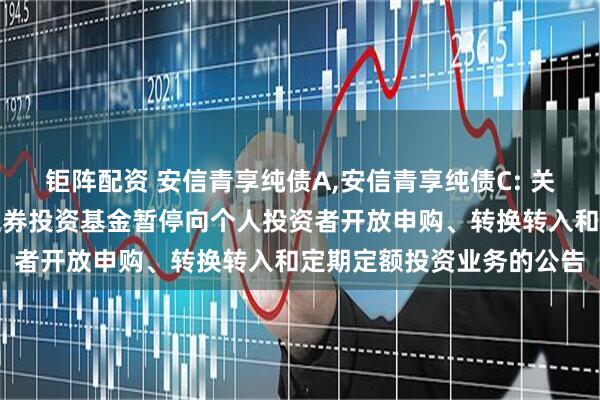 钜阵配资 安信青享纯债A,安信青享纯债C: 关于安信青享纯债债券型证券投资基金暂停向个人投资者开放申购、转换转入和定期定额投资业务的公告