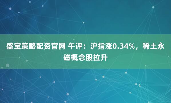 盛宝策略配资官网 午评：沪指涨0.34%，稀土永磁概念股拉升
