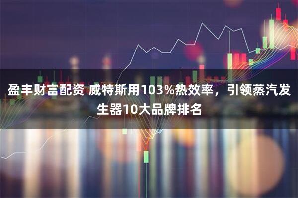 盈丰财富配资 威特斯用103%热效率，引领蒸汽发生器10大品牌排名