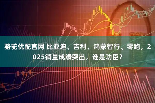 骆驼优配官网 比亚迪、吉利、鸿蒙智行、零跑，2025销量成绩突出，谁是功臣？