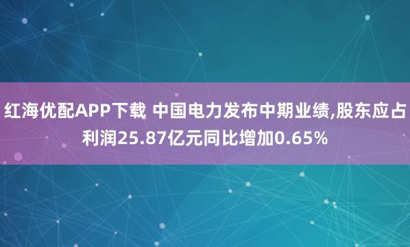 红海优配APP下载 中国电力发布中期业绩,股东应占利润25.87亿元同比增加0.65%