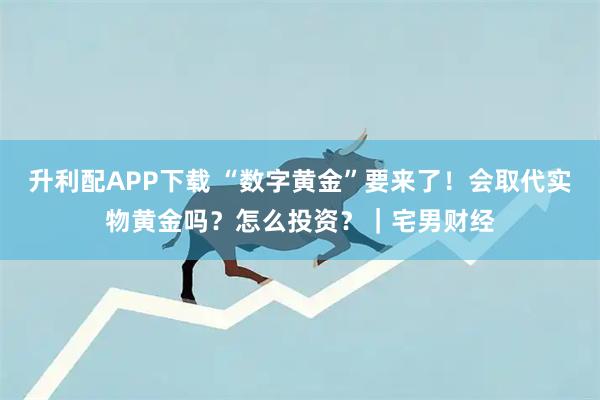 升利配APP下载 “数字黄金”要来了！会取代实物黄金吗？怎么投资？｜宅男财经